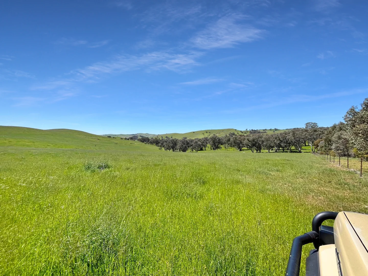Additional image 39 of 'horse Gully' Old Waugoola Road, Woodstock NSW 2793