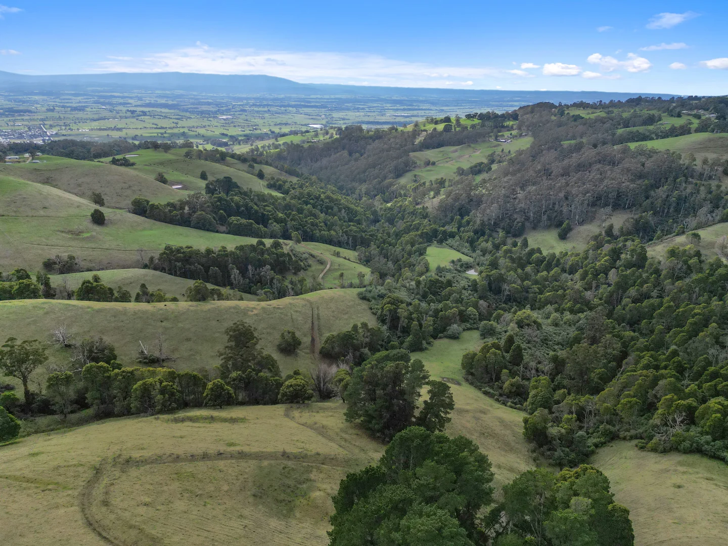 Additional image 26 of 419 Old-Yarragon Leongatha Road, Yarragon South VIC 3823