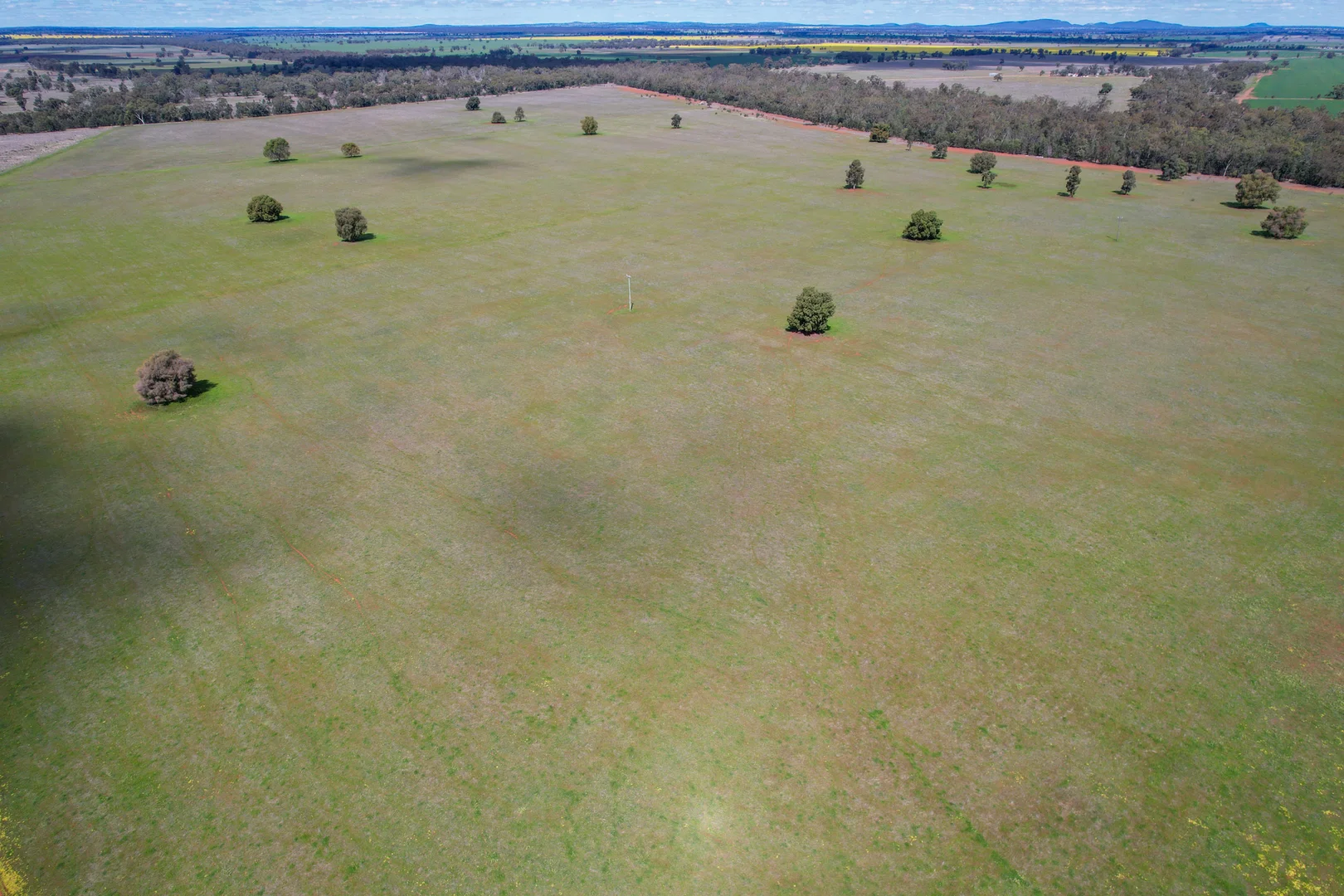 Additional image 10 of 120 Melrose Plains Road, Fifield NSW 2875