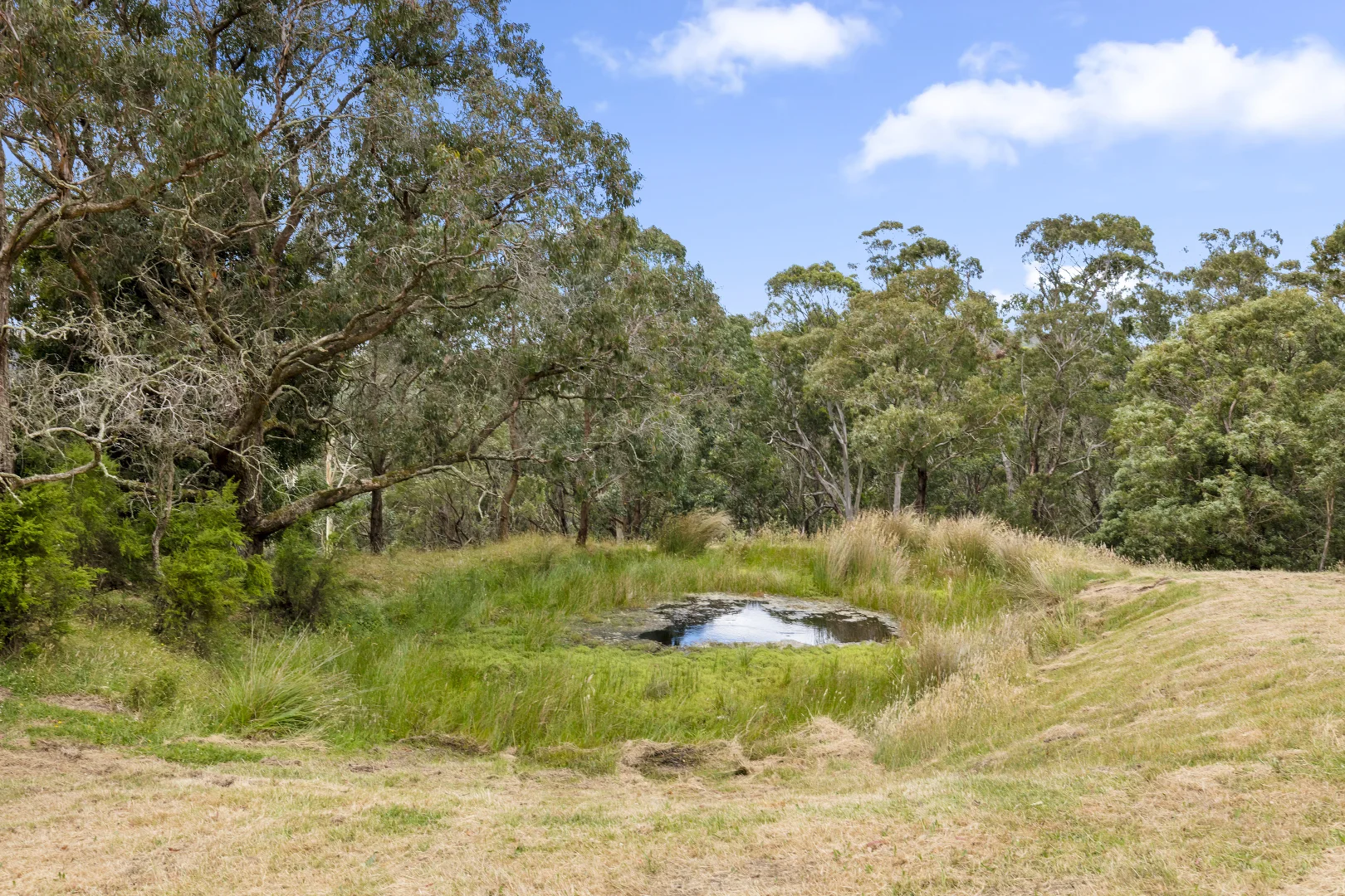 Additional image 3 of 575 Deans Marsh Lorne Road, Deans Marsh VIC 3235