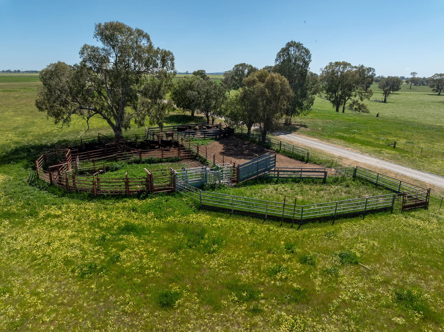 Additional image 23 of 6021 Riverina Highway, Hopefield NSW 2646