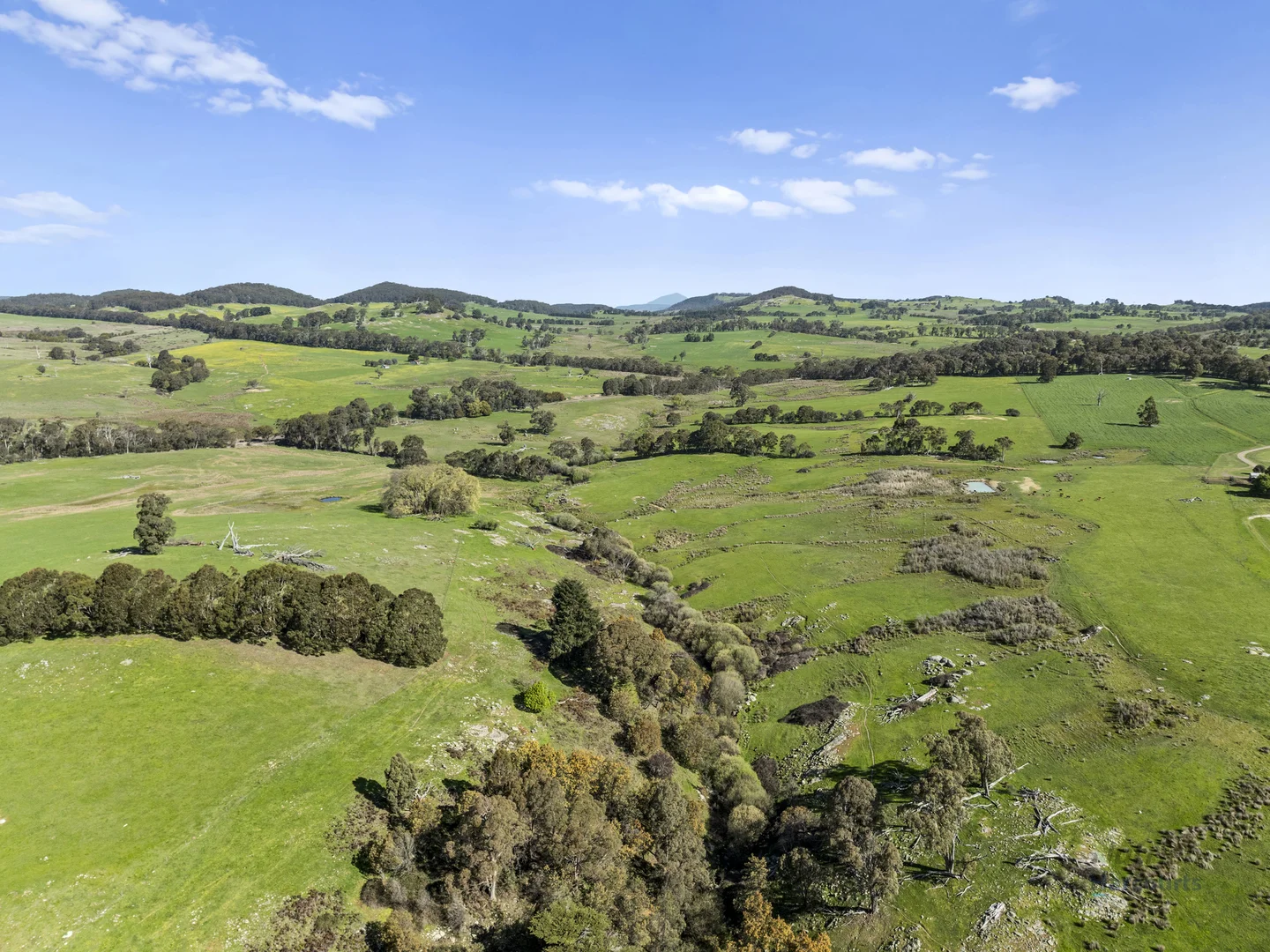Additional image 5 of 99 Tames Road, Strathbogie VIC 3666