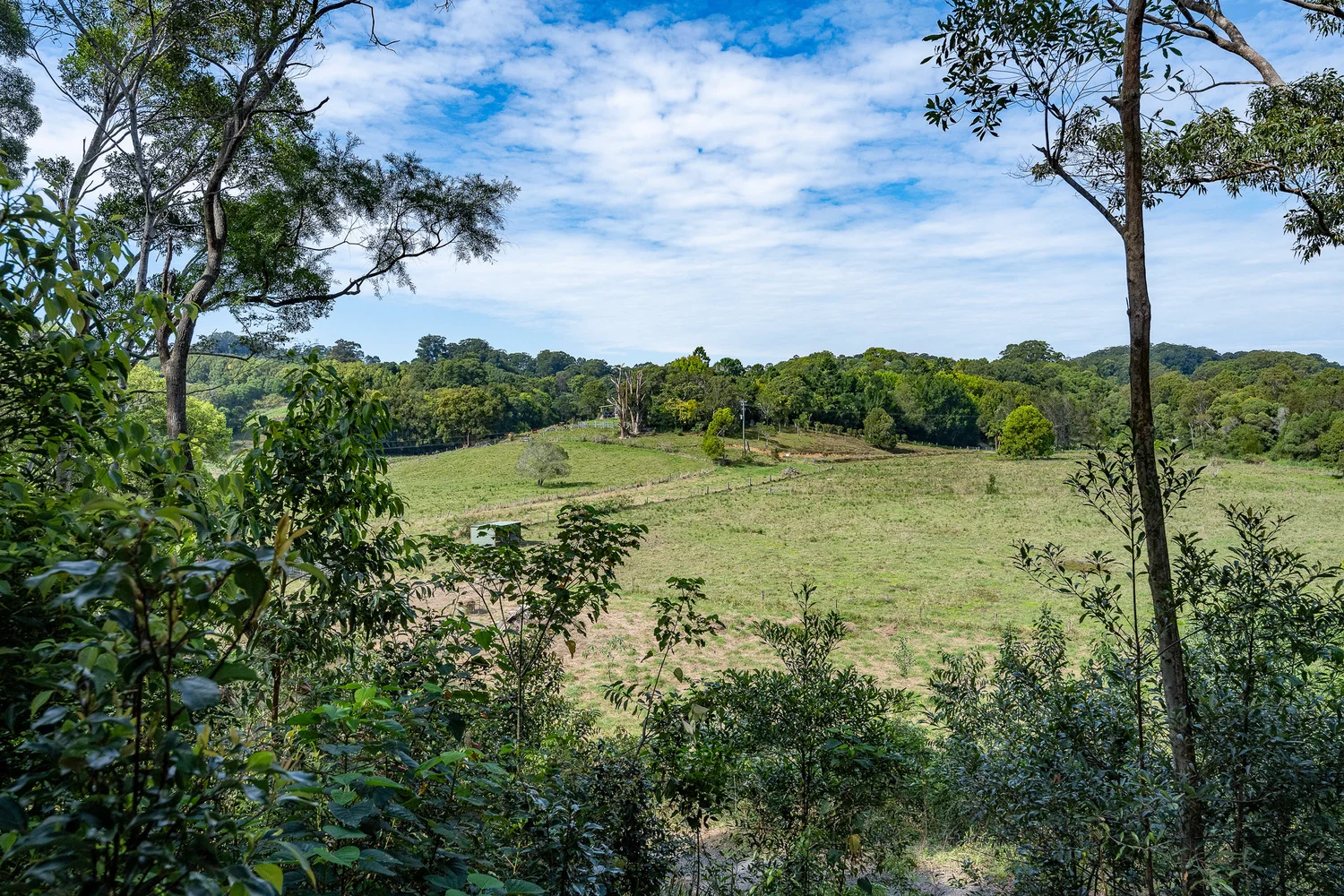 Additional image 11 of 38 Wooyung Road, Wooyung NSW 2483
