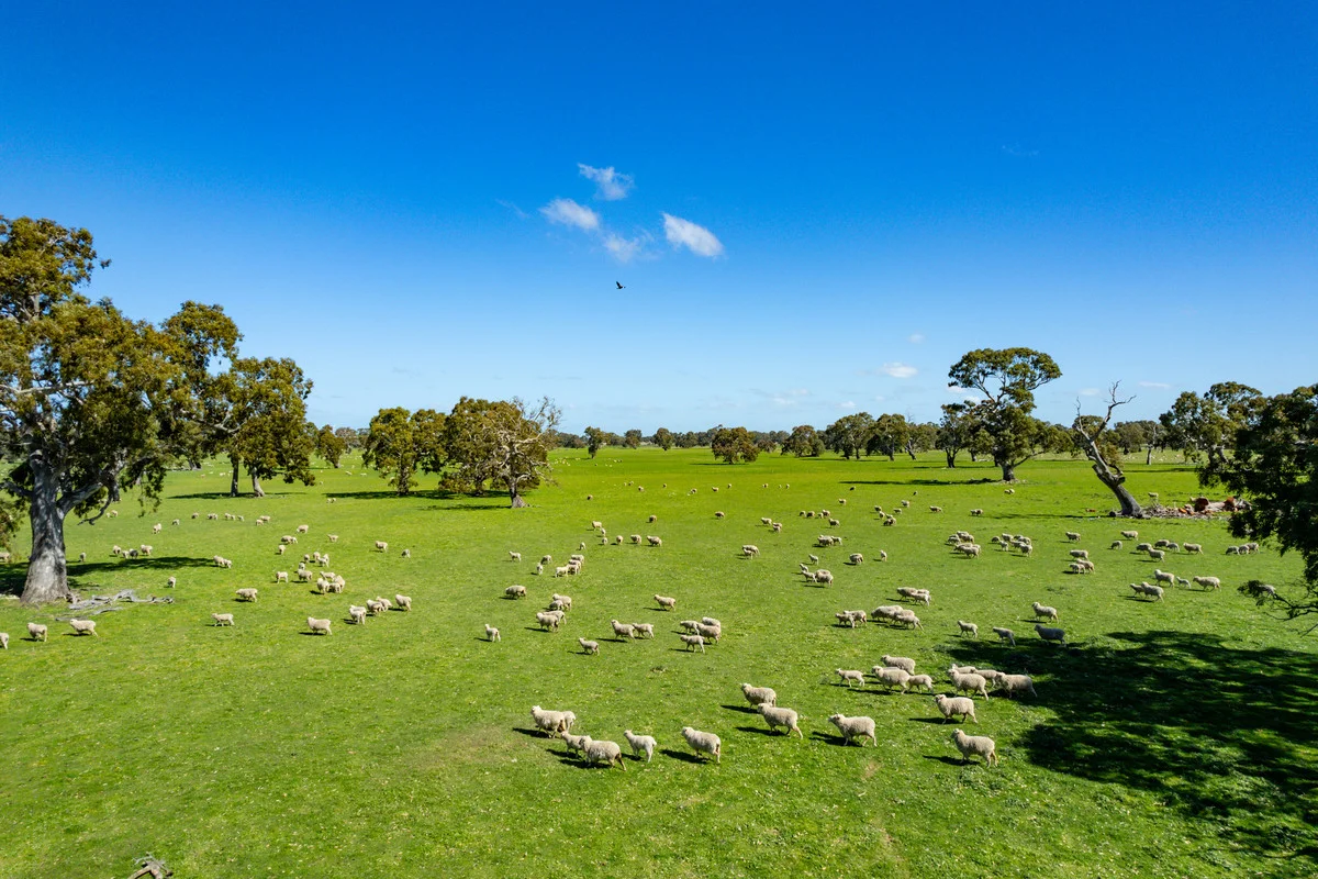 Additional image 11 of 102 Hillman Road, Middle Creek VIC 3375