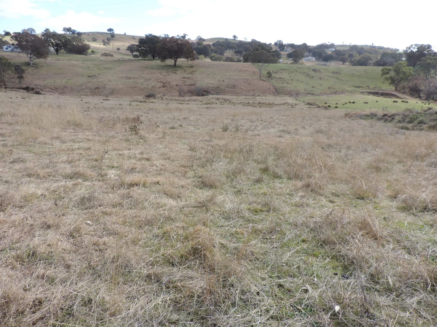 Additional image 4 of 26 Hailstone Street, Bigga NSW 2583