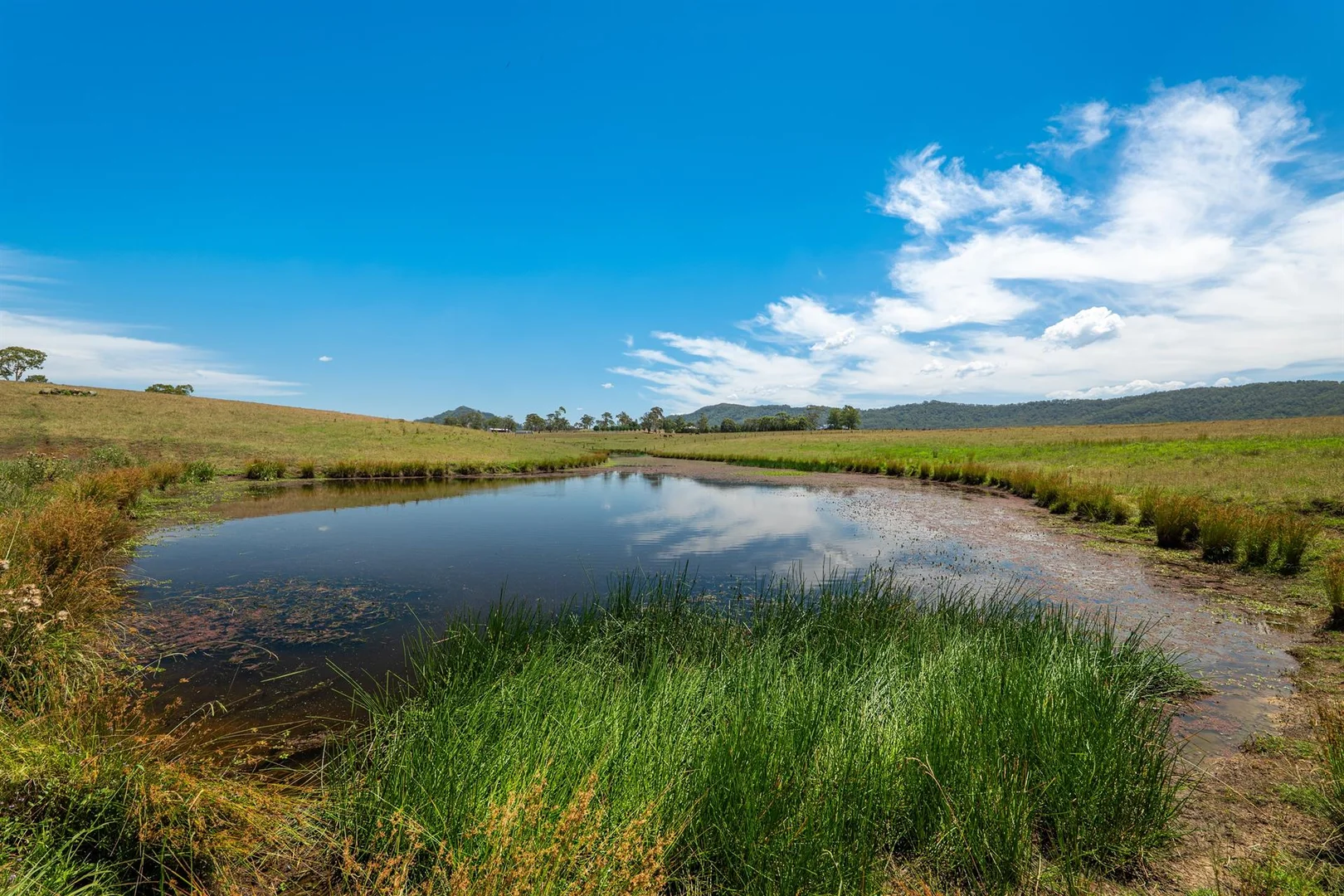 Additional image 16 of 642 Anambah Road, Gosforth NSW 2320