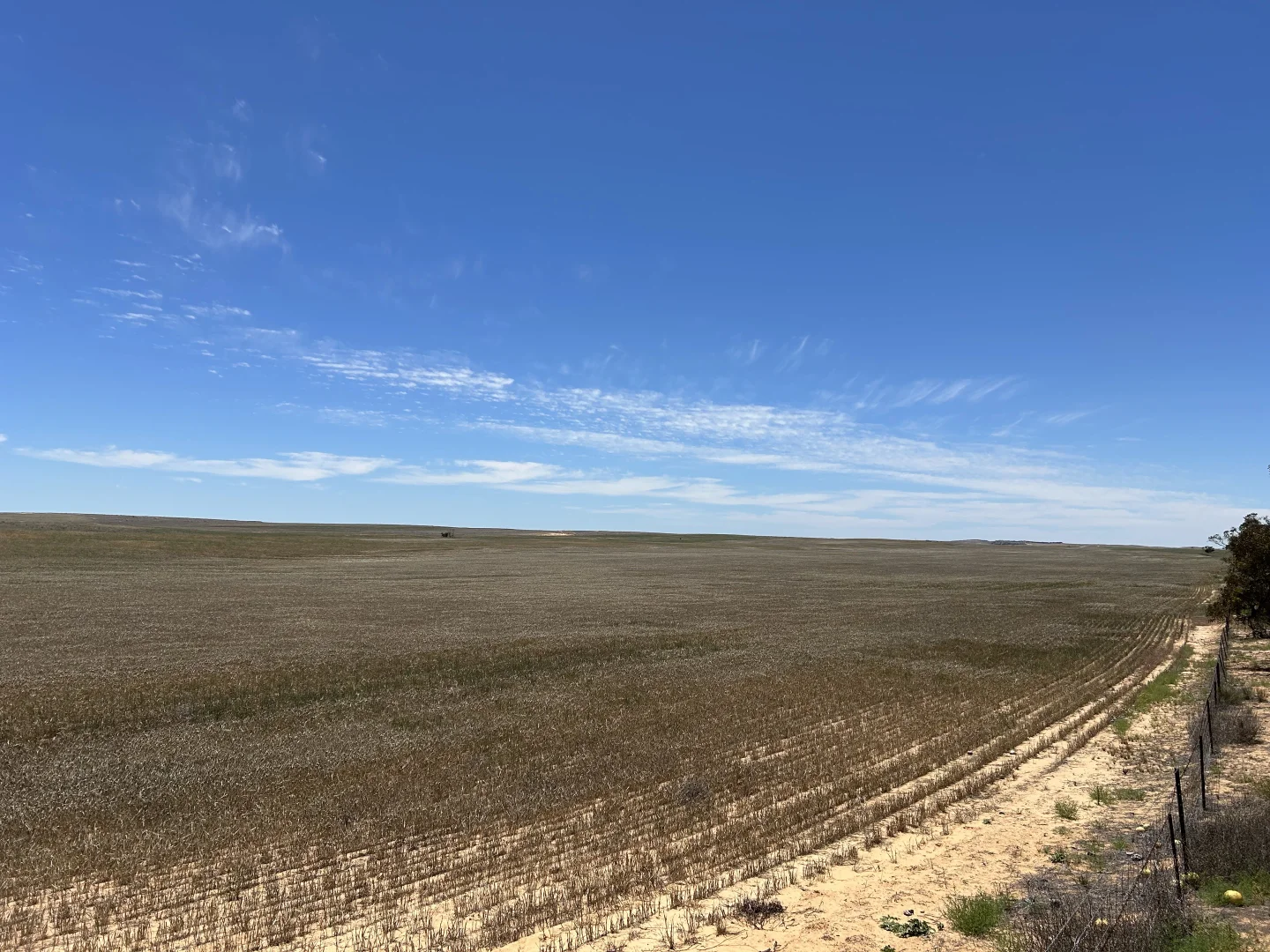 Additional image 3 of 8689 Browns Well Highway, Pinnaroo SA 5304