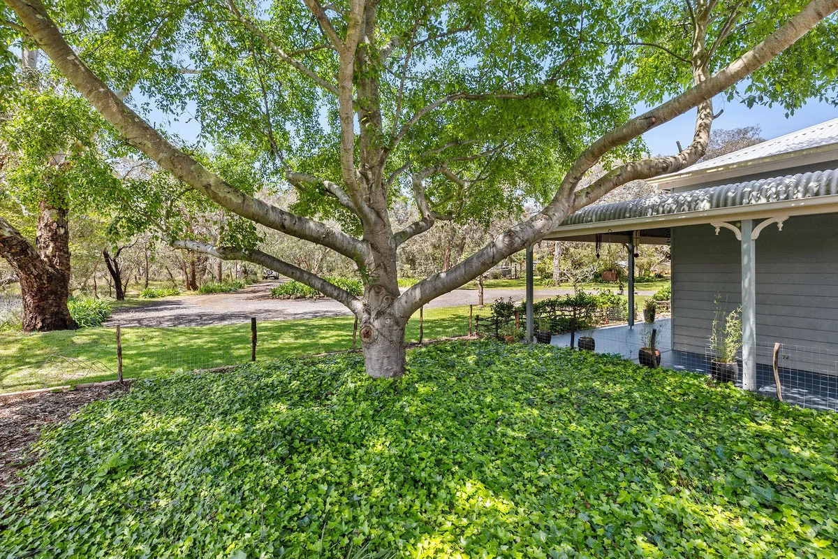 Additional image 25 of 15 Minter Drive, Bellbrae VIC 3228