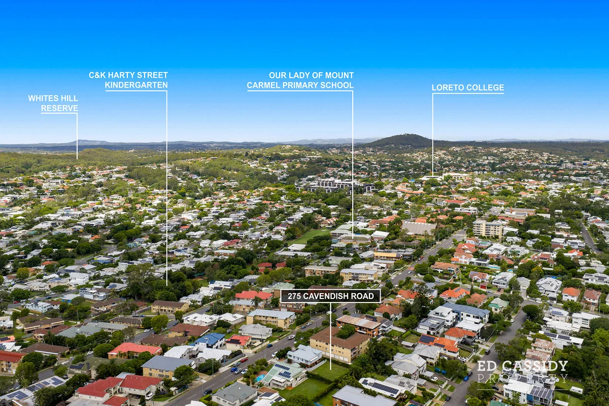 Additional image 5 of 275 Cavendish Road, Coorparoo QLD 4151