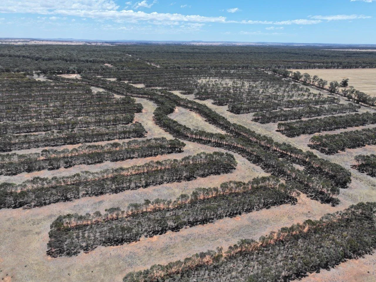 Additional image 5 of 'Corio' 343 Lees Lane, Alleena NSW 2671