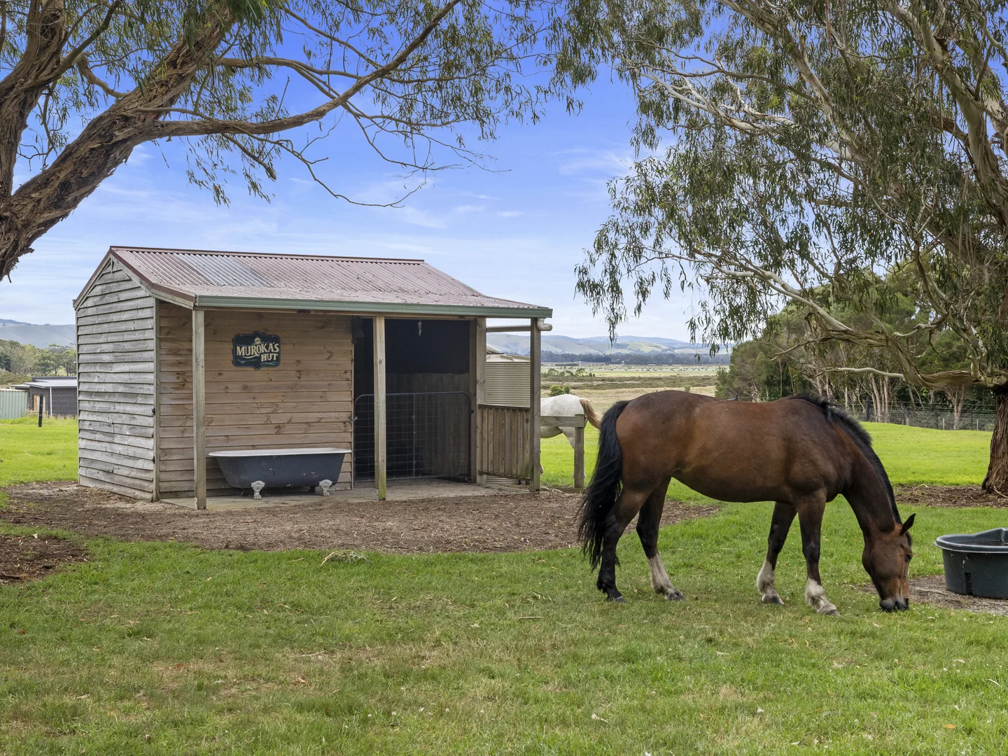 Additional image 5 of 42 Old Hat Road, Foster VIC 3960