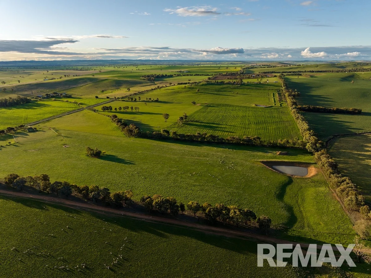Additional image 3 of 880 Pattersons Road, Harefield NSW 2650