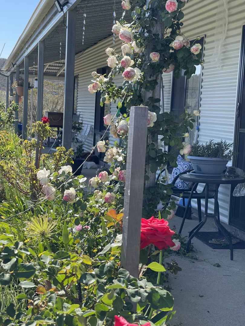 Additional image 22 of 594 Pyramul Road, Windeyer NSW 2850