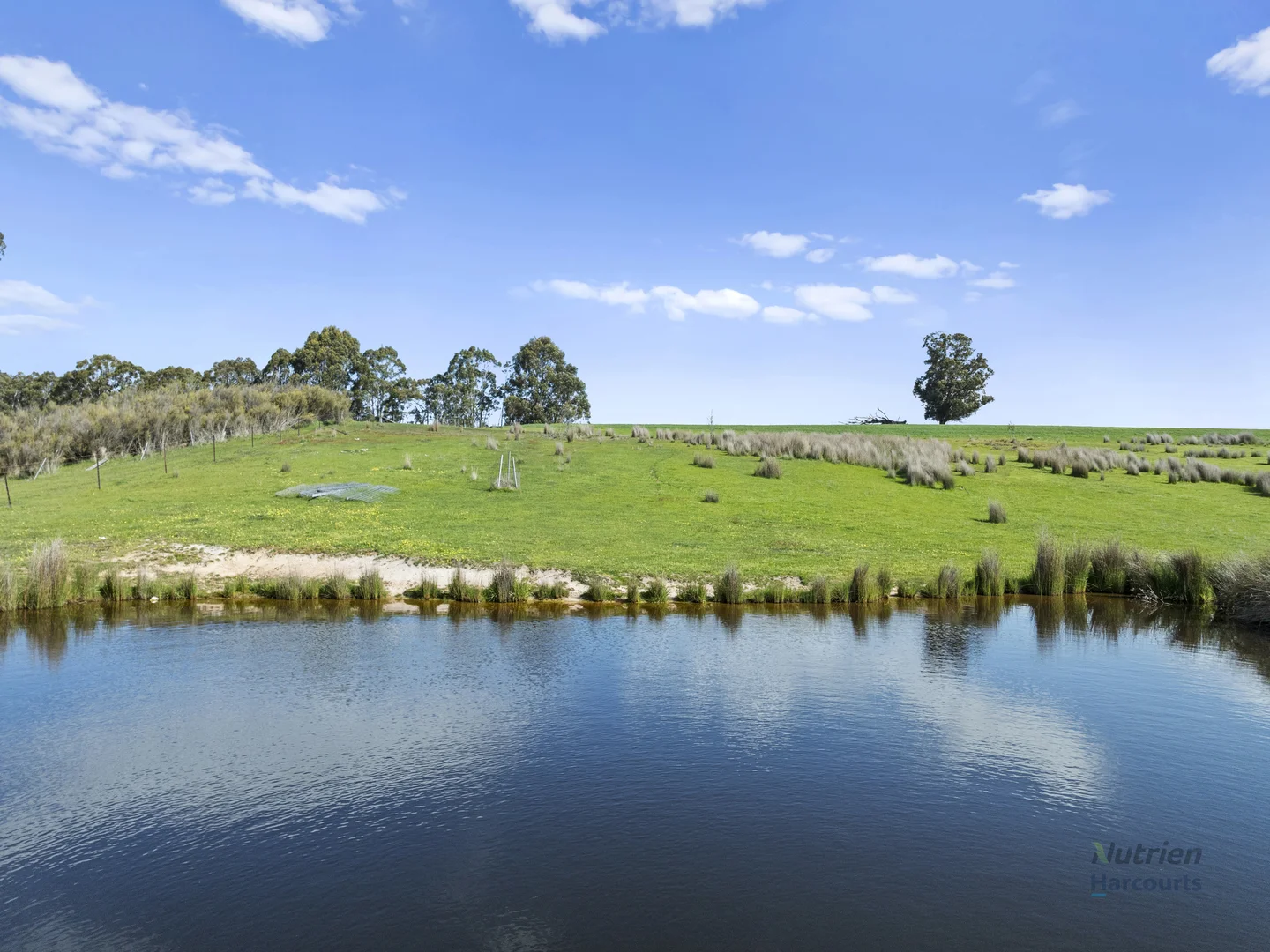 Additional image 6 of 99 Tames Road, Strathbogie VIC 3666