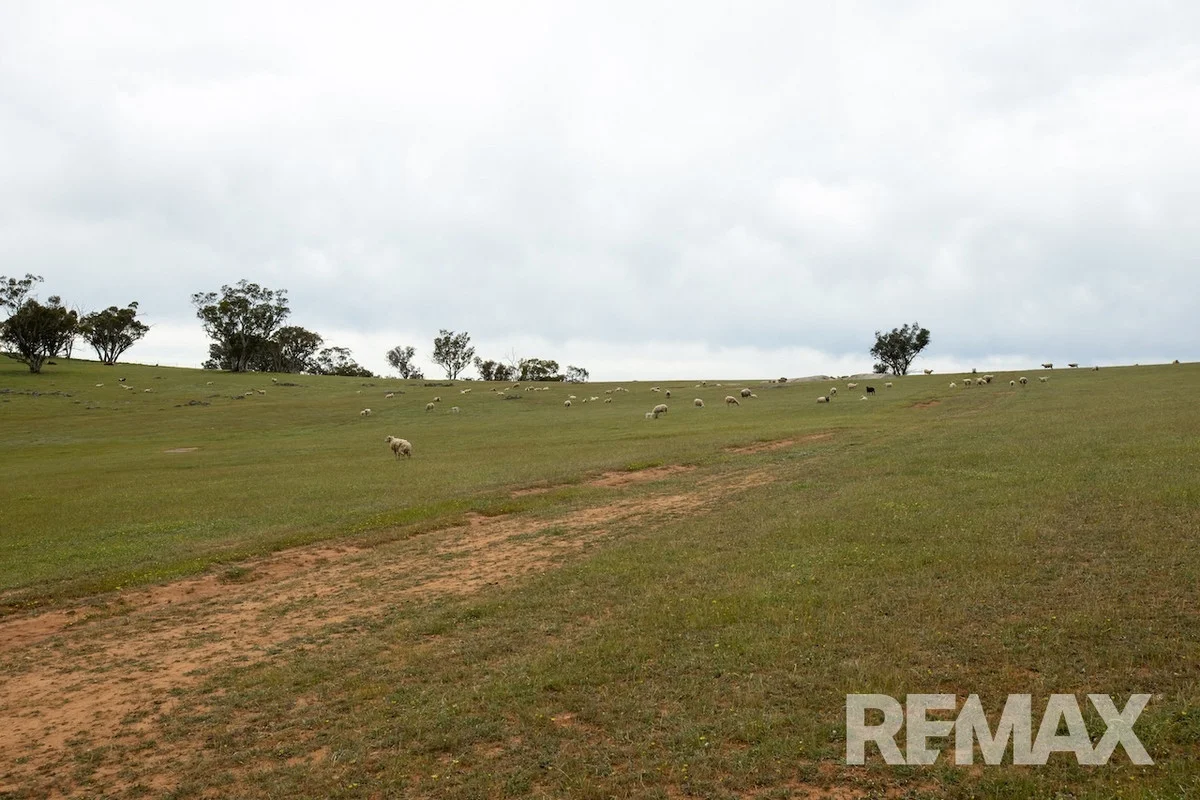 Additional image 22 of 417 Twelve Mile Road, Yarragundry NSW 2650