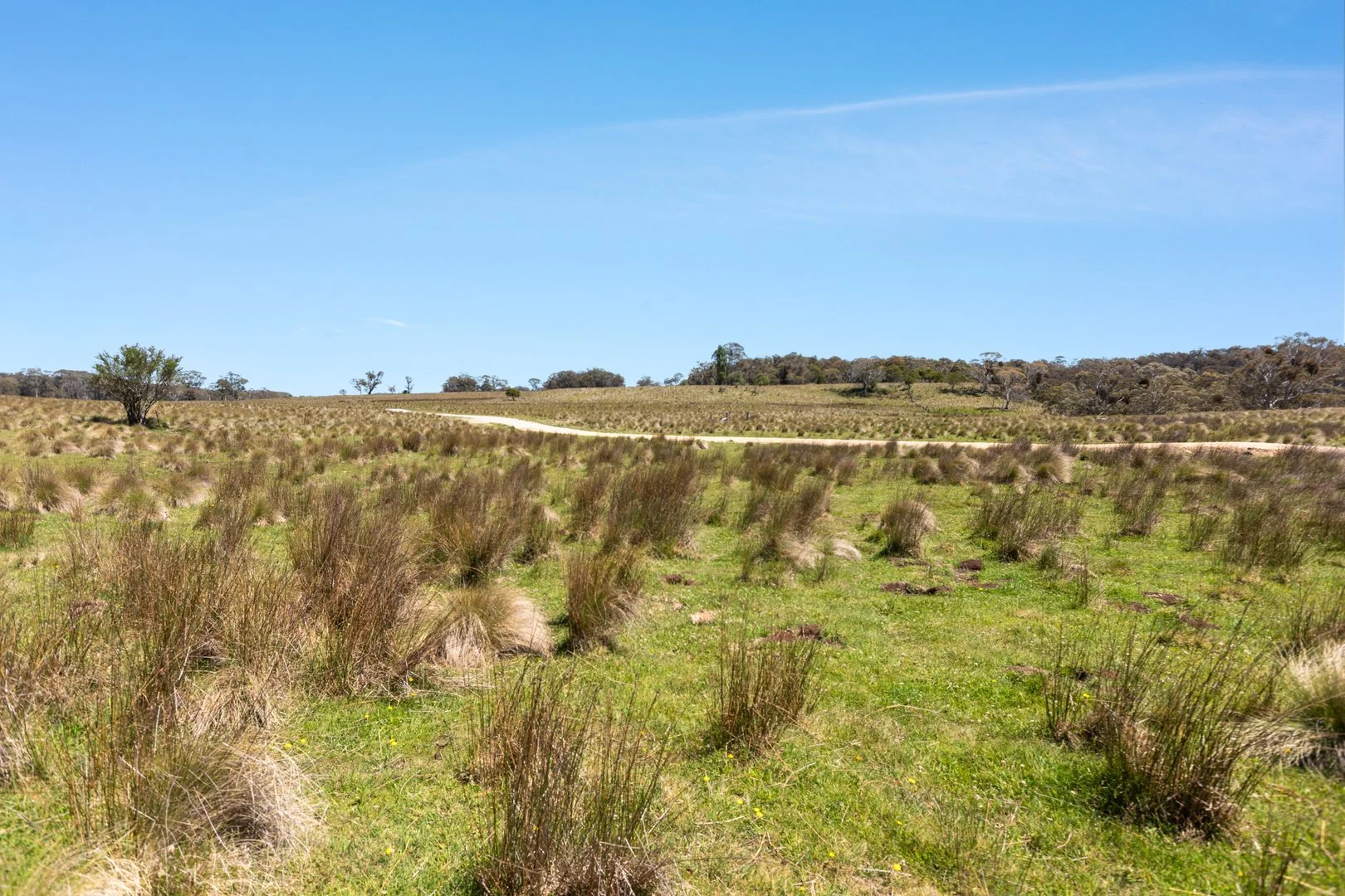 Additional image 8 of Thornleigh Coolangubra Road, Cathcart NSW 2632