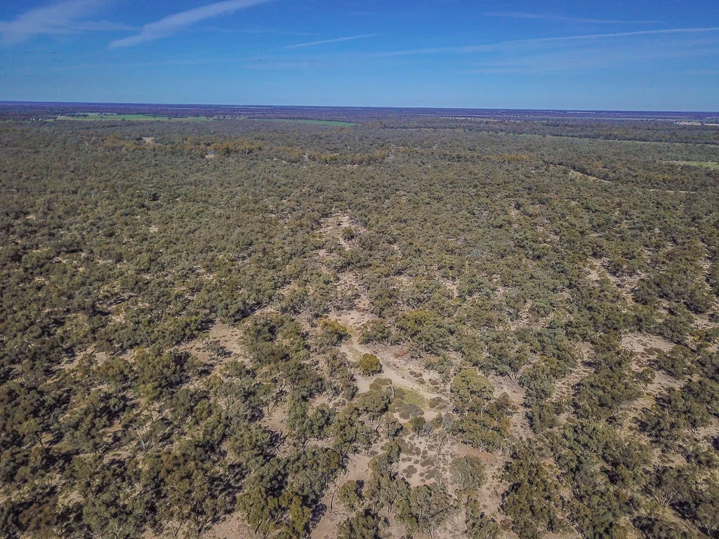 Additional image 33 of 'Wetuppa' 245 Fisher Lane, Wetuppa NSW 2734