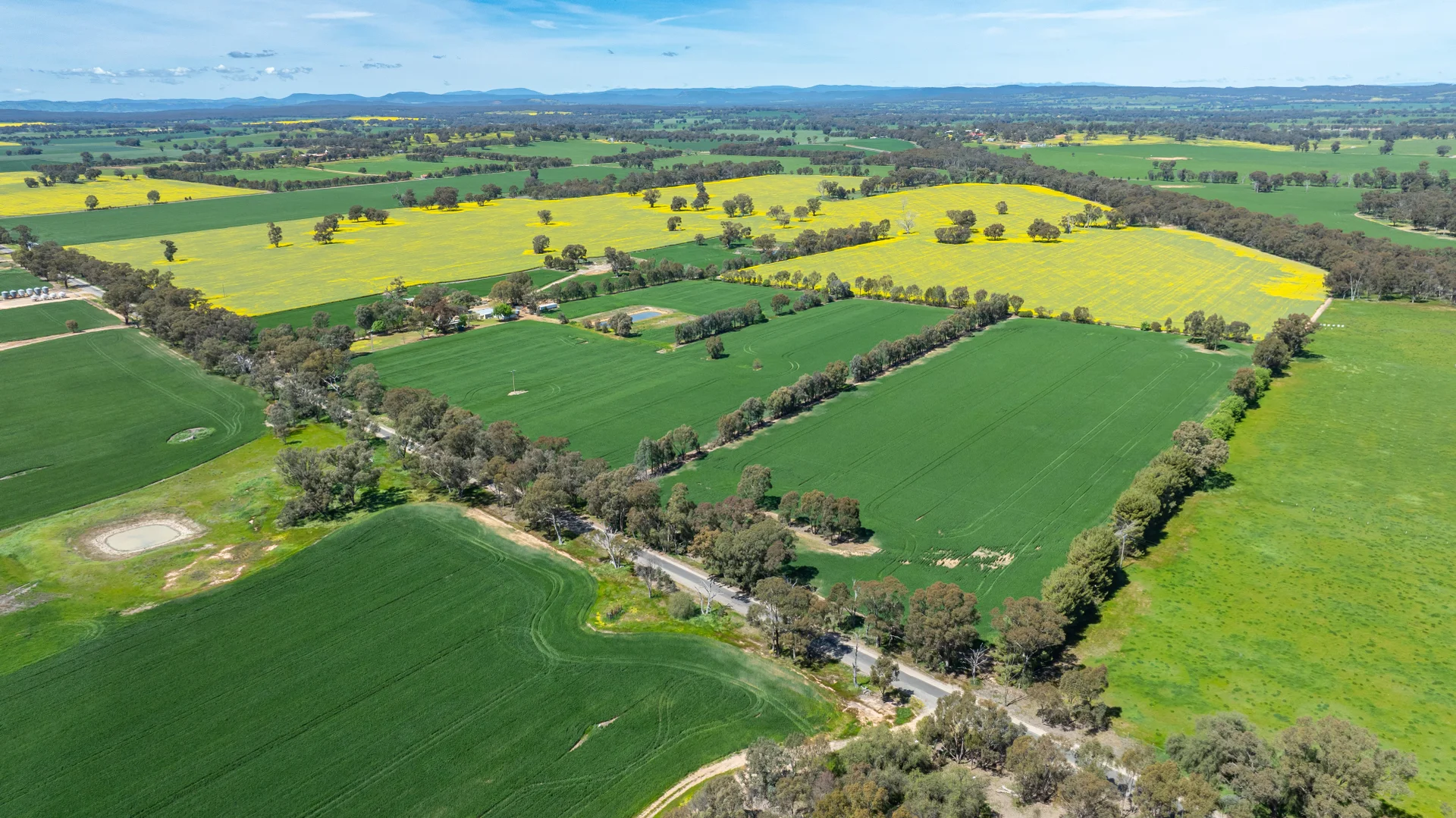 Additional image 22 of 106 Cornishtown Road, Rutherglen VIC 3685