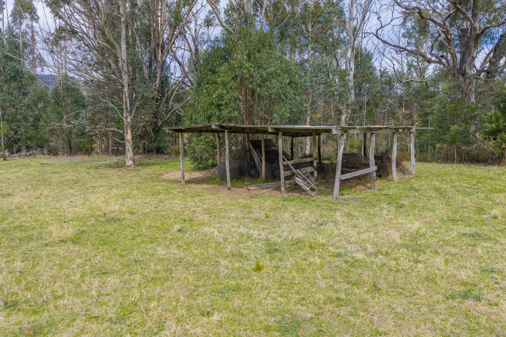 Additional image 6 of 2845 Mount Darragh Road, Wyndham NSW 2550
