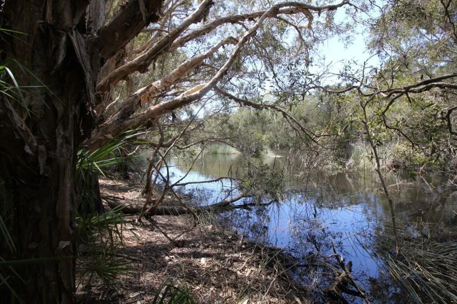 Additional image 32 of 9 Coe Road, Deepwater QLD 4674