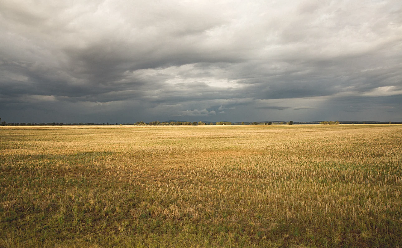 . NEWHAVEN, Burcher NSW 2671 photo 5