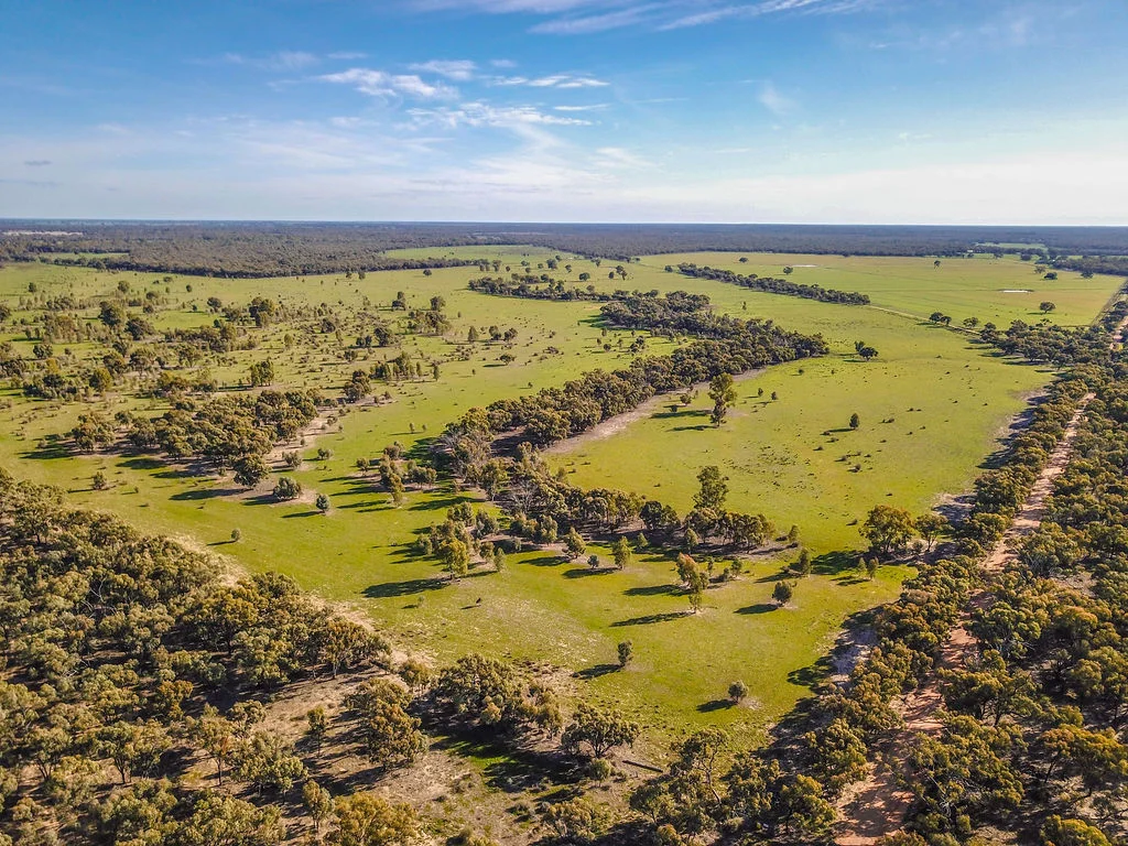 Additional image 42 of 'Wetuppa' 245 Fisher Lane, Wetuppa NSW 2734