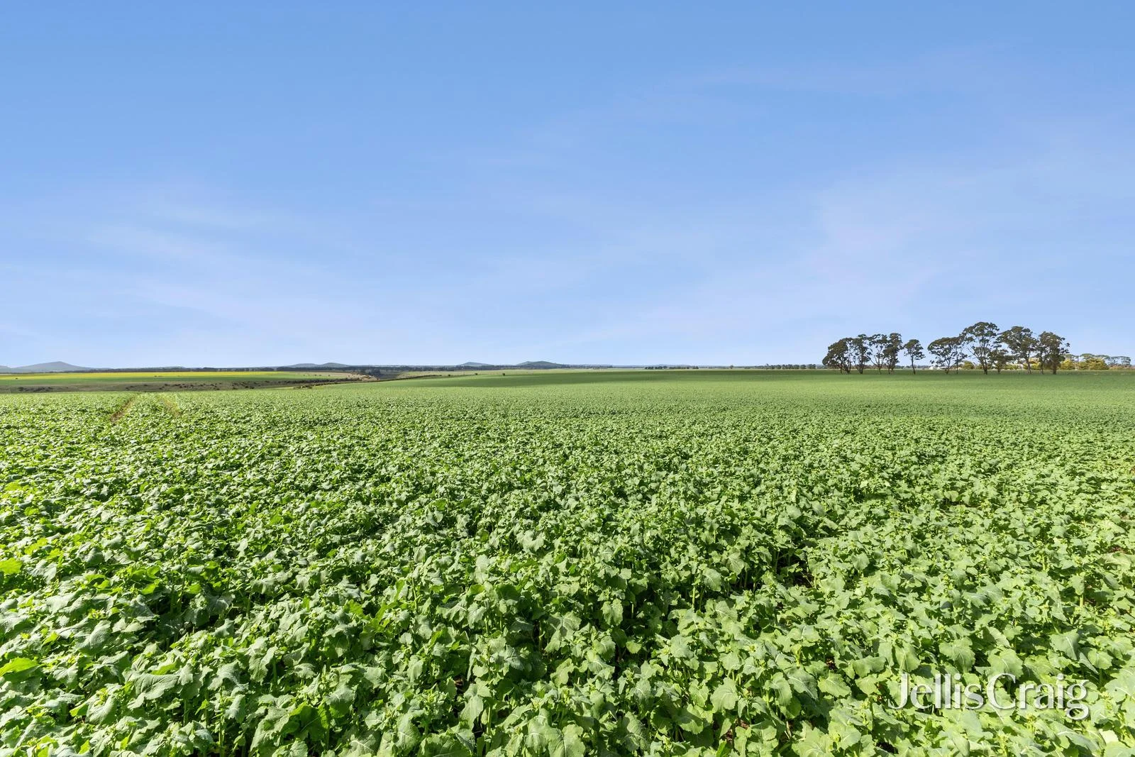 Additional image 4 of Lot 2/2970 Ballarat Maryborough Road, Clunes VIC 3370