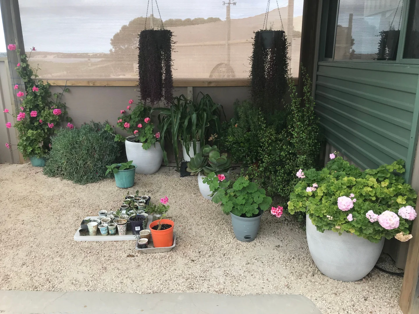 Additional image 18 of Lot 1 Esplanade, Fowlers Bay SA 5690