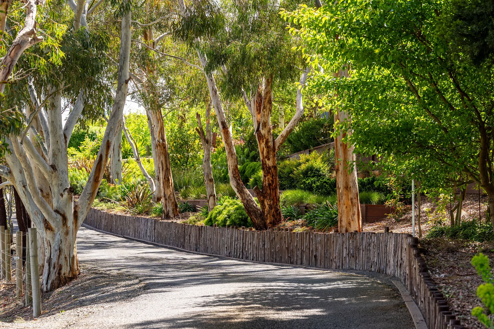 Additional image 4 of 115 Swann Road, Alexandra VIC 3714