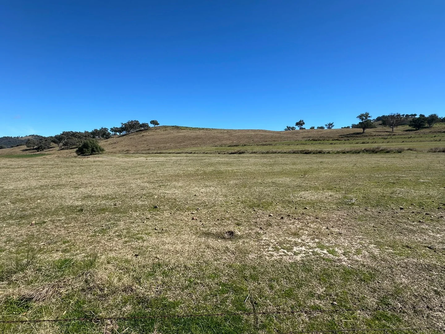 Additional image 34 of 2991 Halls Creek Road, Halls Creek NSW 2346