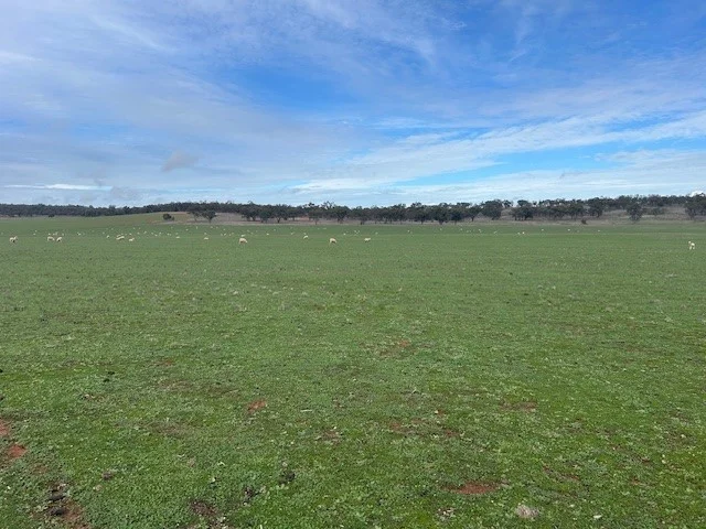 Additional image 9 of 418 Donaldsons Road, Corbie Hill NSW 2705