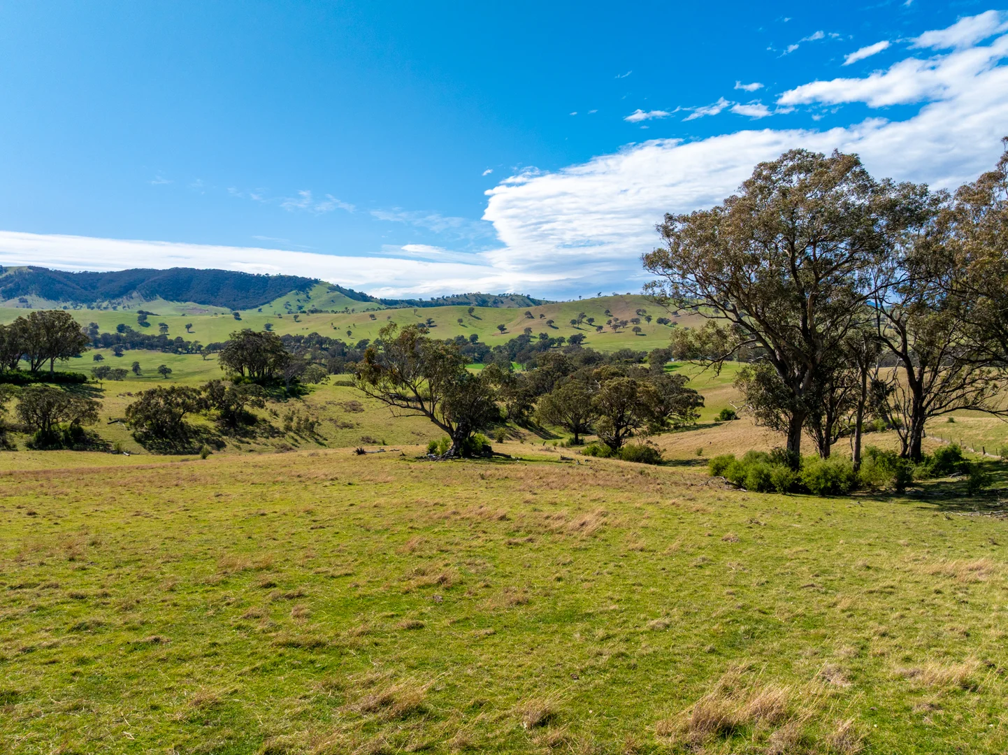 Additional image 4 of 1139 Ensay-Doctors Flat Road, Ensay VIC 3895