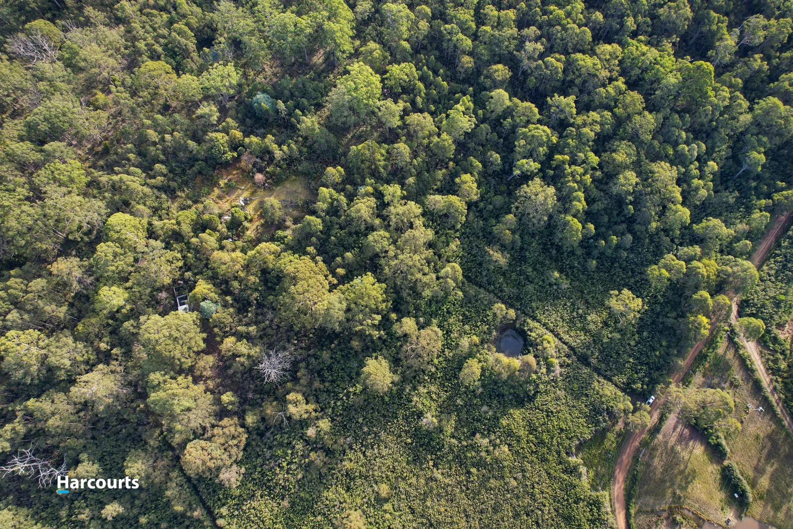 Additional image 7 of 110 Tongue Road, Hastings TAS 7109