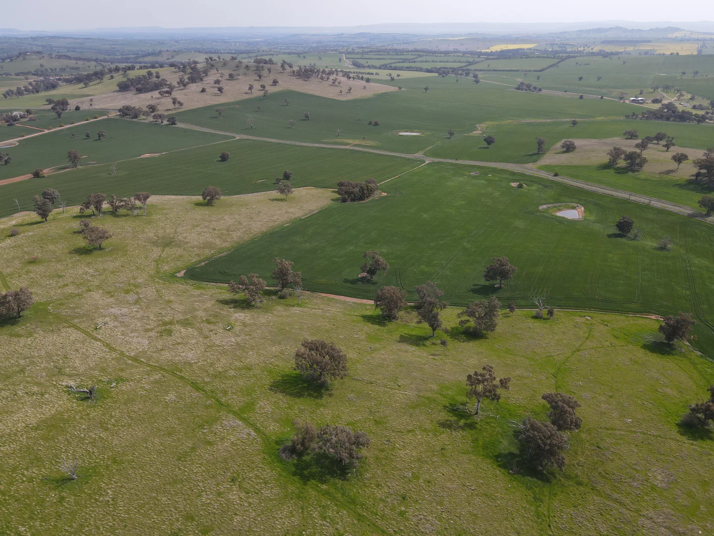 Additional image 15 of Woodstock NSW 2793