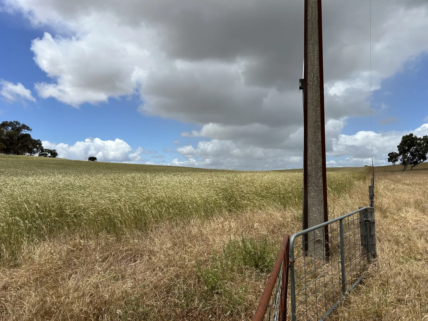 Additional image 15 of Lot 189 and 323 Roy Lawries Road, Lochaber SA 5271
