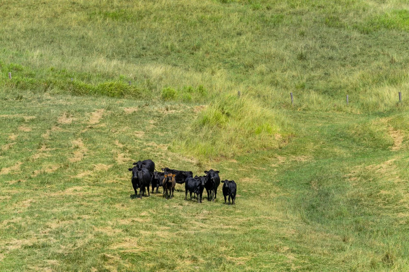 Additional image 9 of Lot 9/427 BACK CREEK ROAD, Back Creek NSW 2484