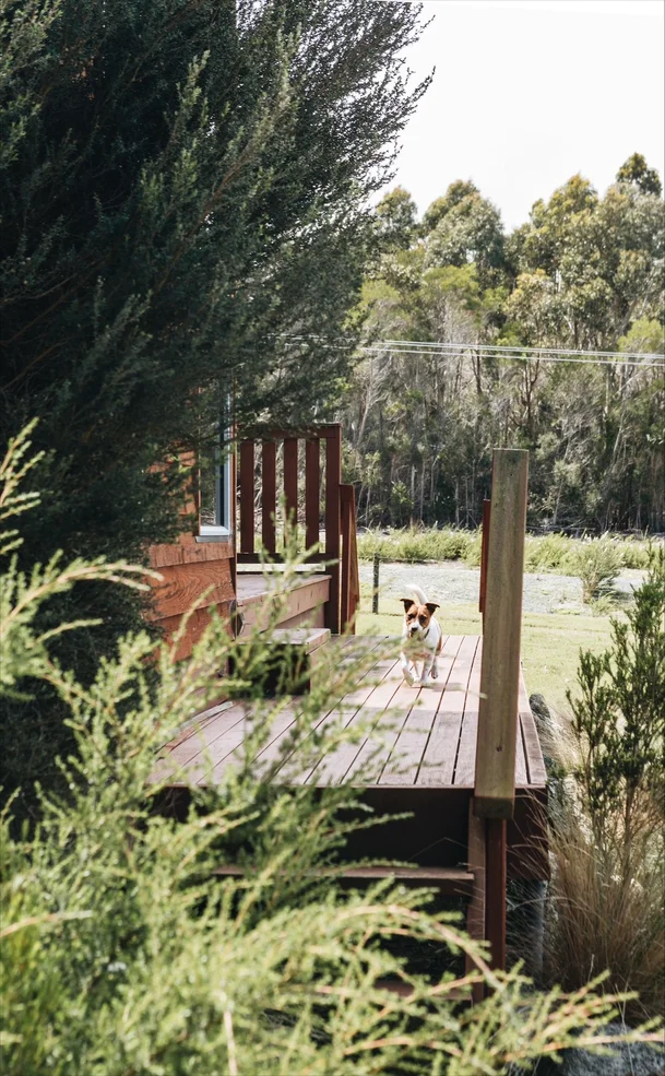 Additional image 9 of 539 Memana Road, Whitemark TAS 7255