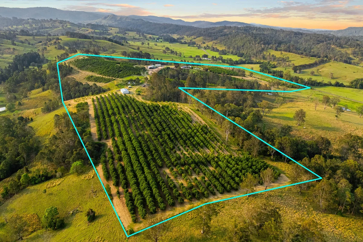 Additional image 15 of 323 Bingeebeebra Road, Bingeebeebra Creek NSW 2469