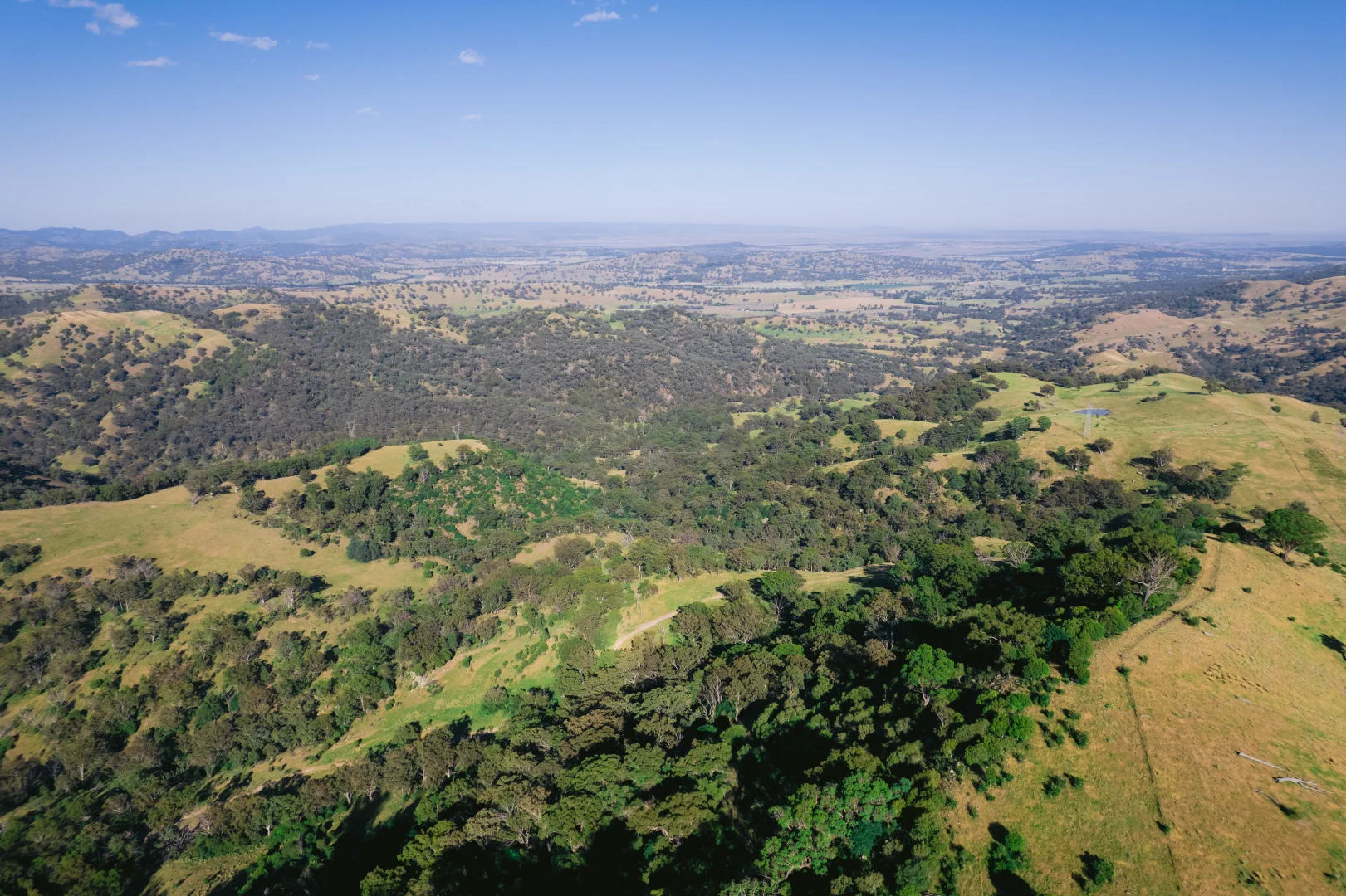 Additional image 12 of 7390 New England Hwy, Willow Tree NSW 2339