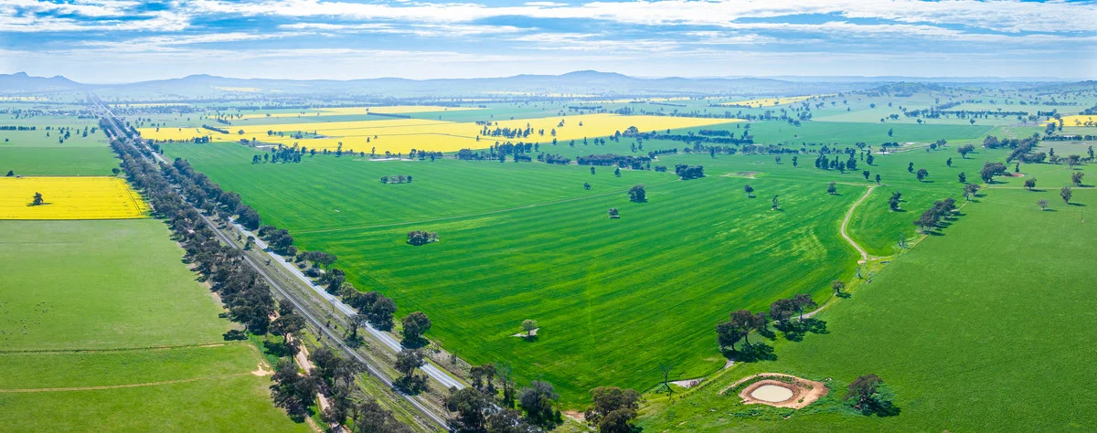 Additional image 13 of Olympic Highway, Yerong Creek NSW 2642
