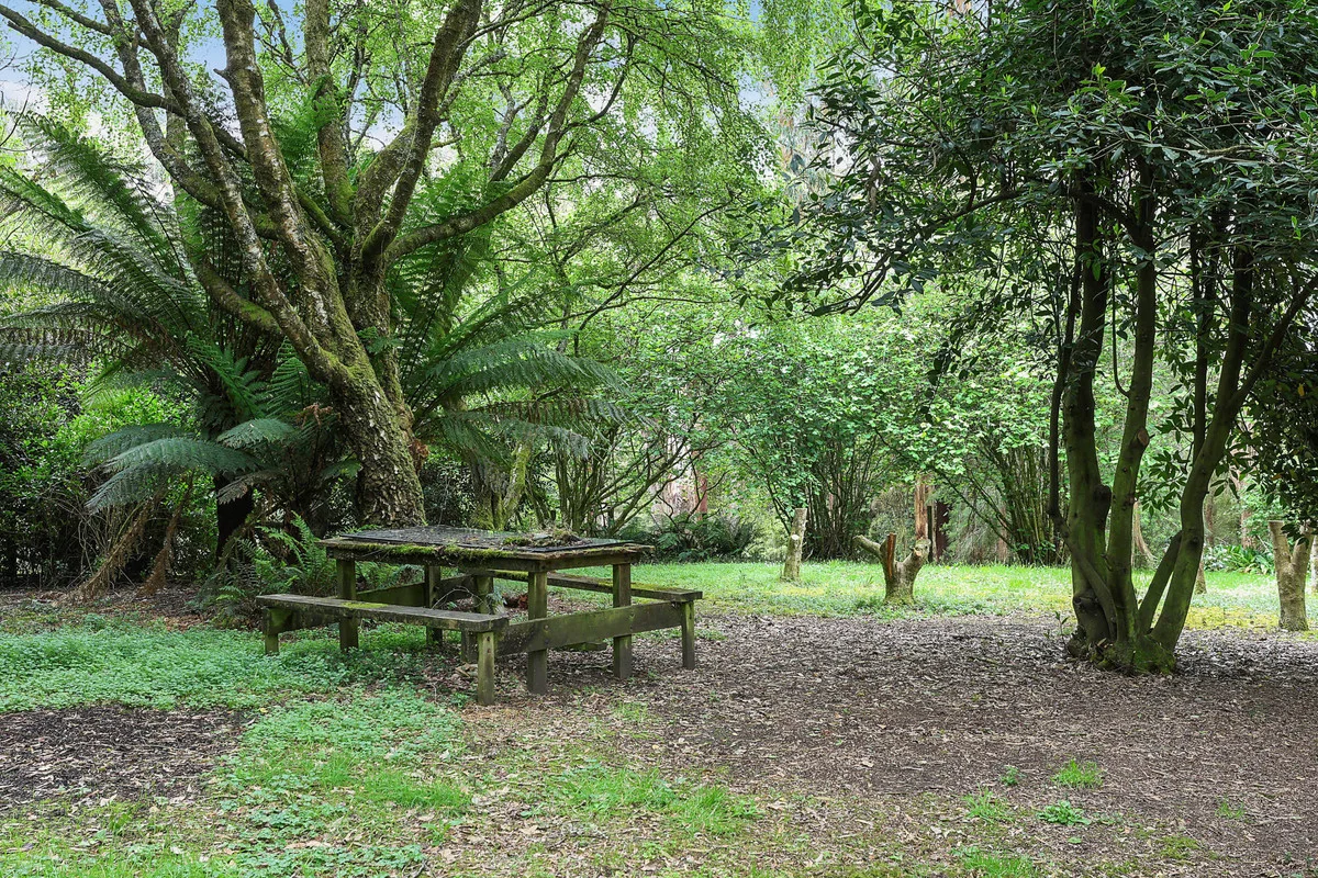 Additional image 8 of 5035 Great Ocean Road, Lavers Hill VIC 3238