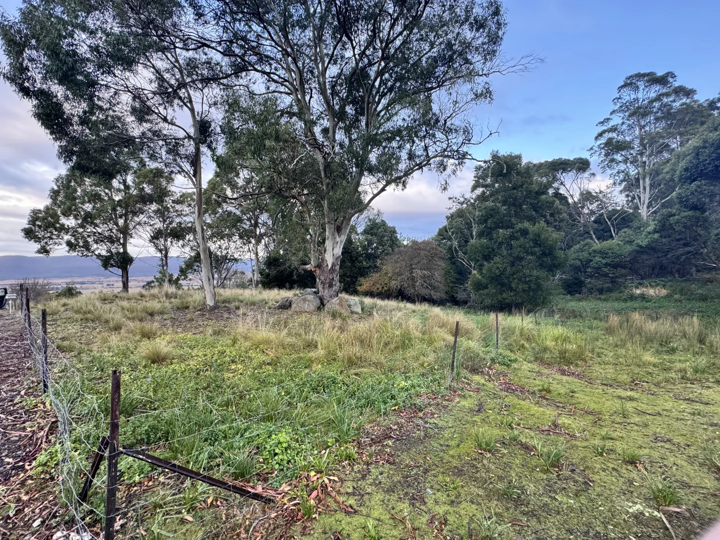 Additional image 11 of 14 Crosby Street, Cornwall TAS 7215