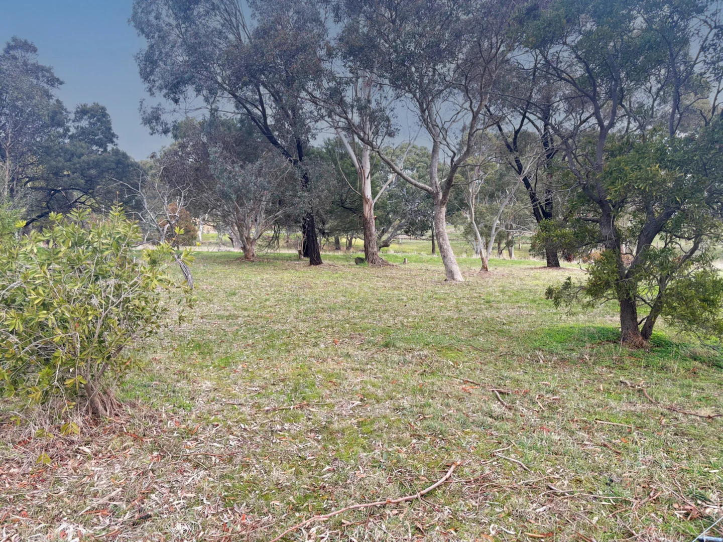 Additional image 6 of Lot 2/43 Parker Street, Dunkeld VIC 3294