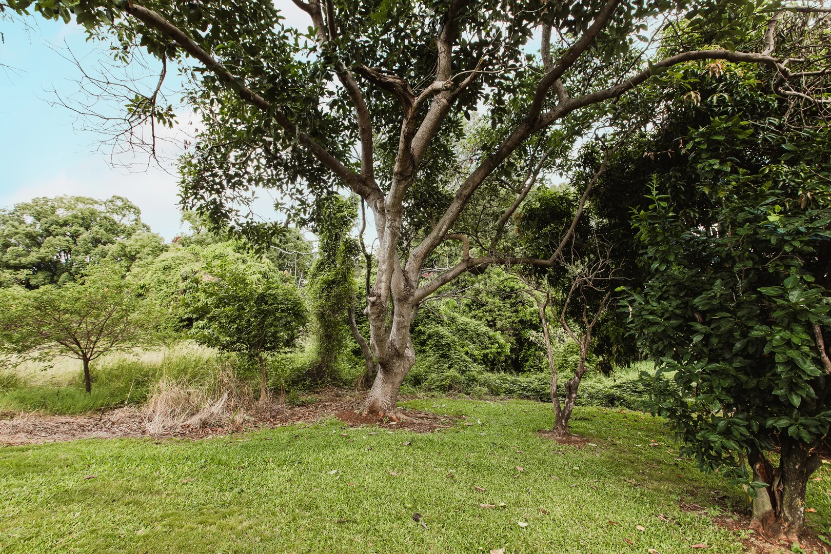 Additional image 10 of 3110/110 Klumpp Road, Upper Mount Gravatt QLD 4122