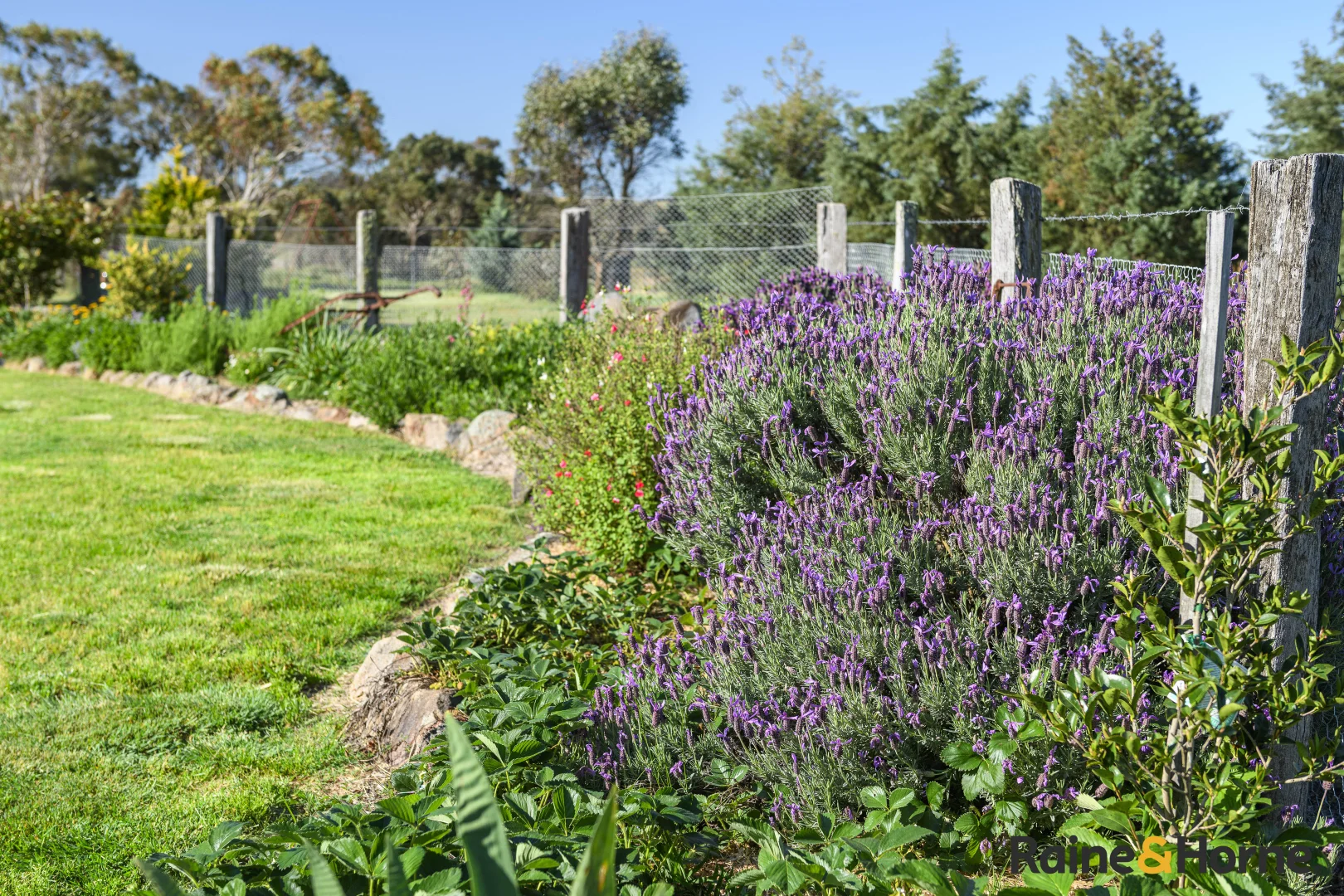 Additional image 36 of Lot 122 Nine Mile Road, Glen Innes NSW 2370