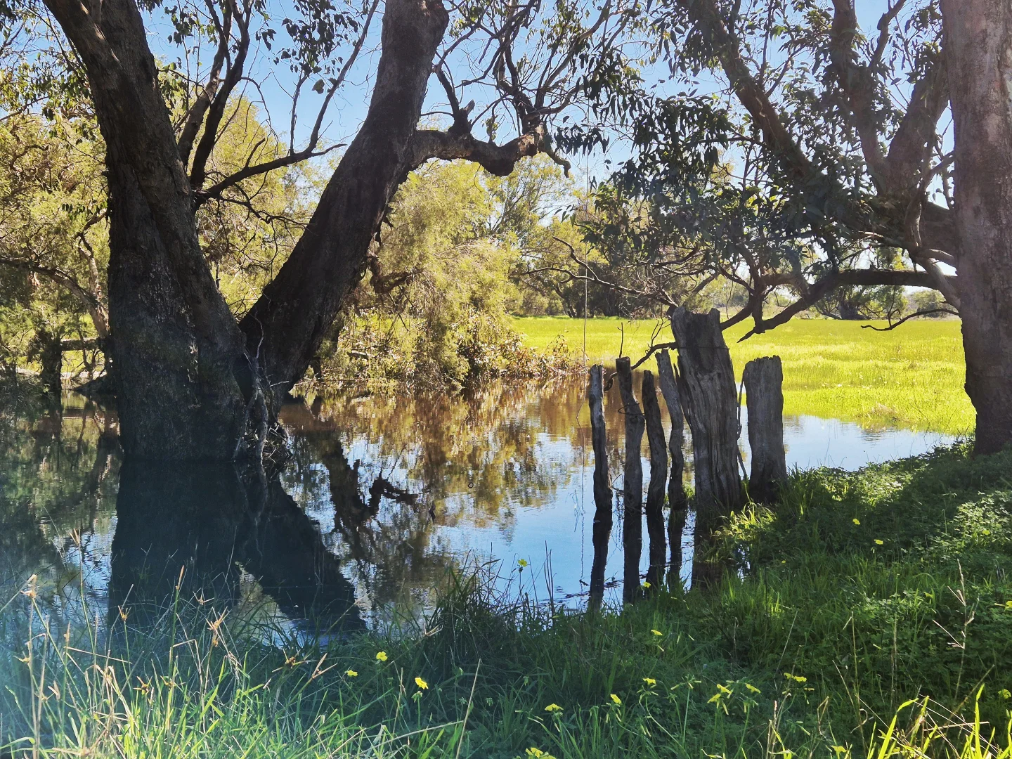 Additional image 10 of 190 Flourmill Cove, Cowalla WA 6503