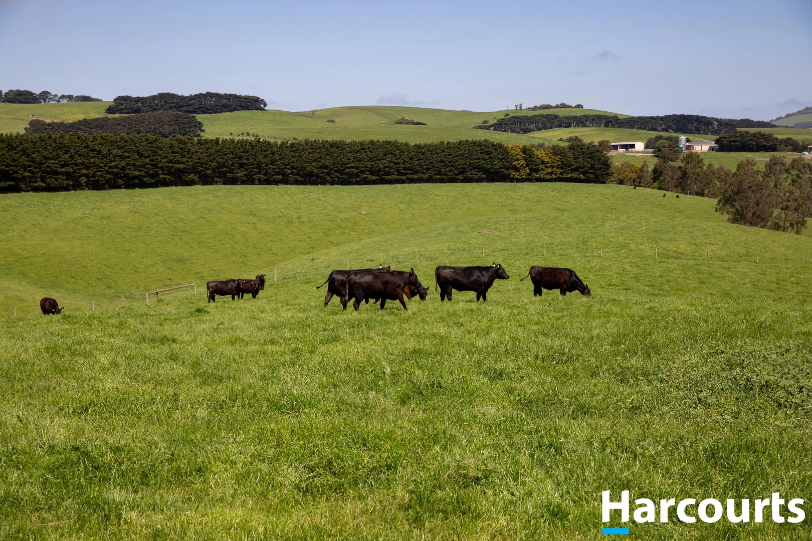 Additional image 6 of 715 Falls Road, Fish Creek VIC 3959