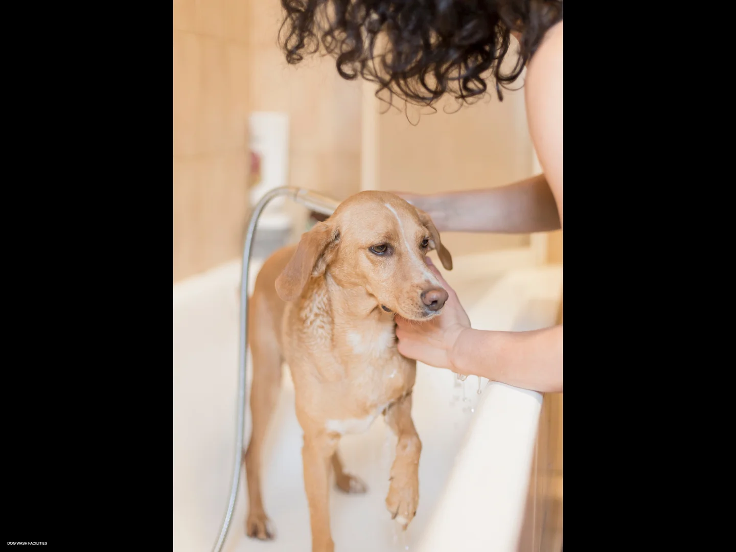 Additional image 8 of 31 QUEENS PARADE, Clifton Hill VIC 3068