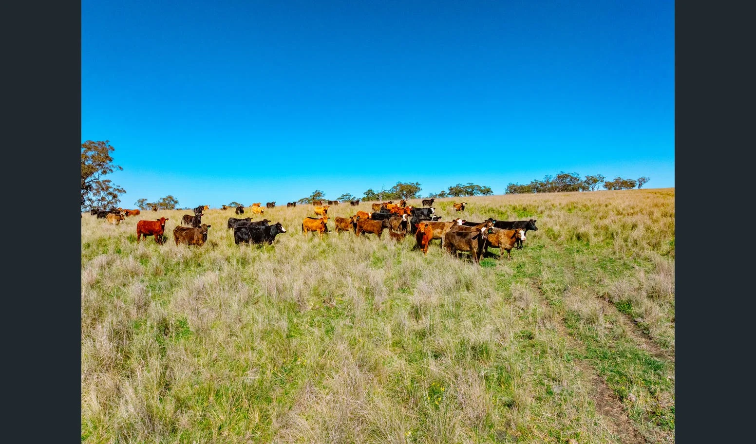 Additional image 2 of Flaggs Road, Merriwa NSW 2329