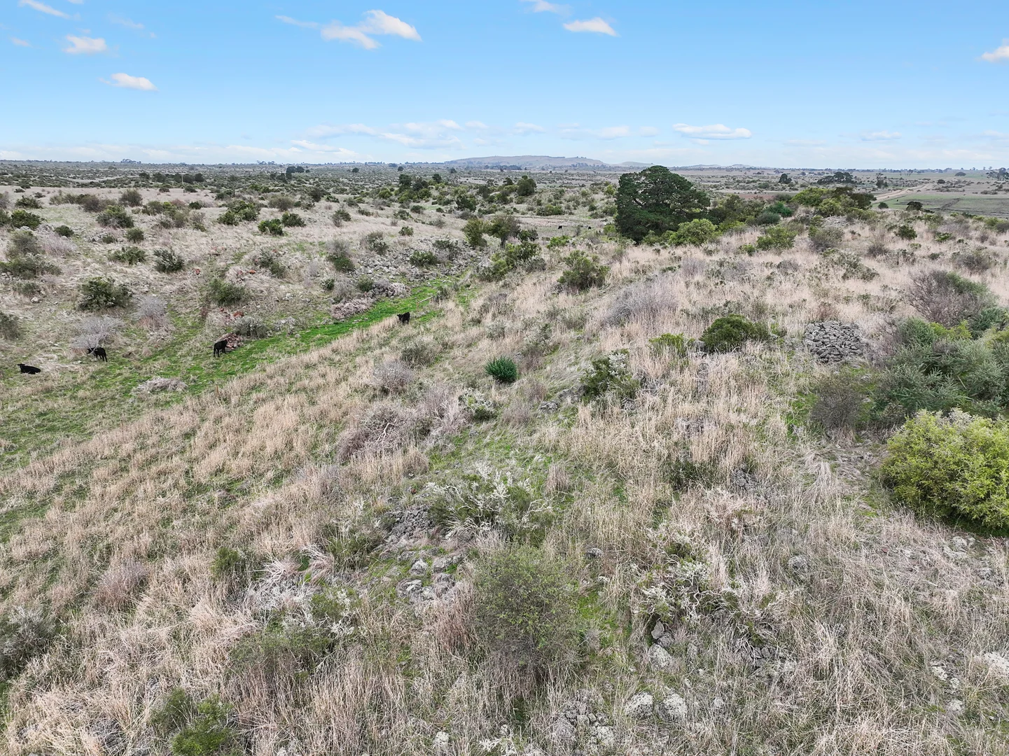 Additional image 9 of 230 Cockerills Rd, Dreeite VIC 3249